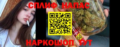 a pvp Бердск