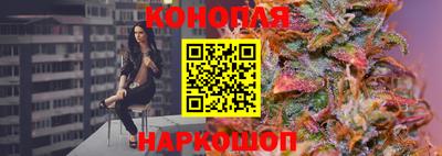a pvp Бердск