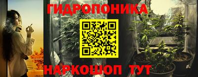 a pvp Бердск