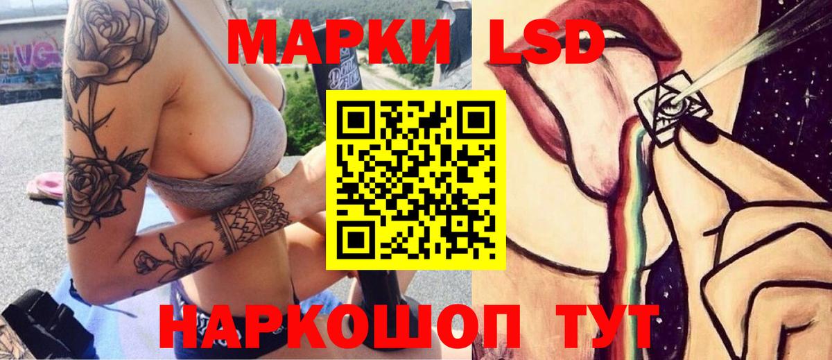 Светлоград  ОМГ ОМГ как войти  Вход с VPN  Лсд 25 экстази кислота  ЛСД экстази кислота 