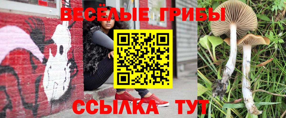 Псилоцибиновые грибы GOLDEN TEACHER  как найти   Светлоград  Вход с VPN 